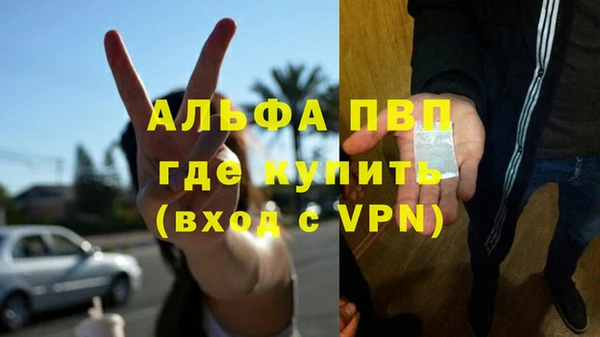 МДПВ Новозыбков