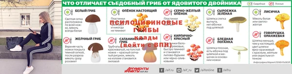 прущие крисы Богородск