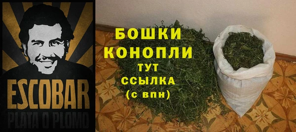 дурь Богородицк