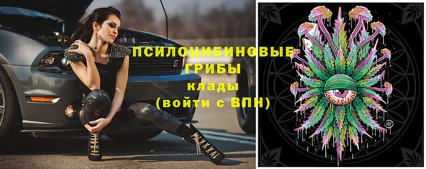 прущие крисы Богородск