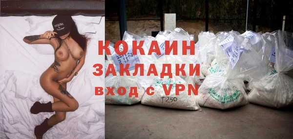 дурь Богородицк