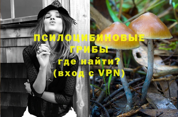 прущие крисы Богородск
